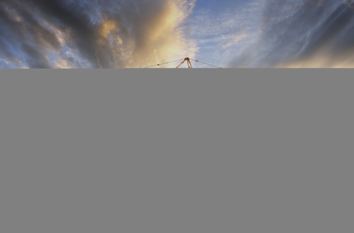 Dictum elementum velit