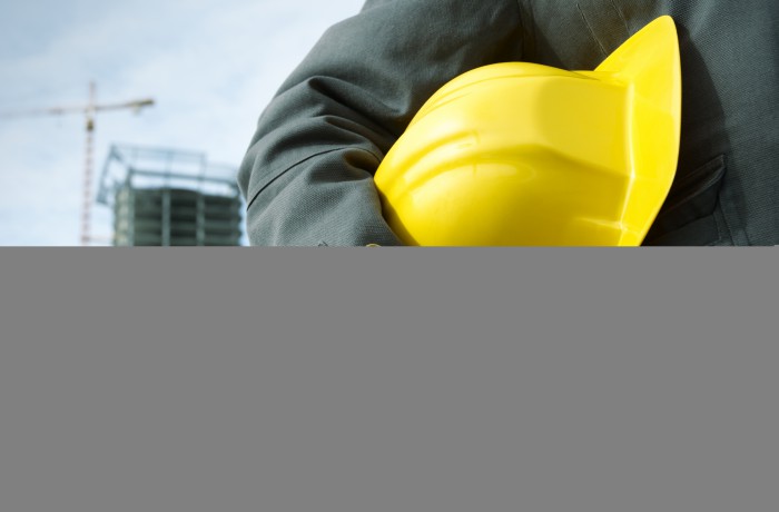 Aculis lacinia est roin