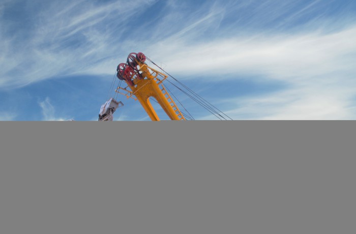 Aculis lacinia est roin